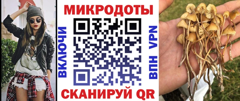 Галлюциногенные грибы Psilocybine cubensis Купить Томари