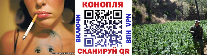 МАРИХУАНА ГИДРОПОН  Купить закладки  Томари 